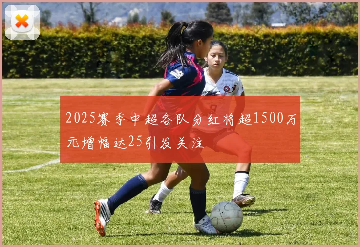 2025赛季中超各队分红将超1500万元增幅达25引发关注