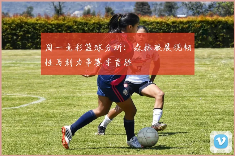 周一竞彩篮球分析：森林狼展现韧性马刺力争赛季首胜